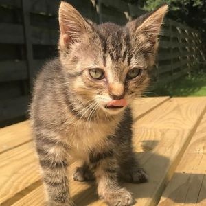 Meet your Posher, Carli